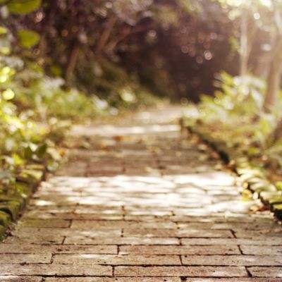 香港今晚六给彩开奖结果下载手机版